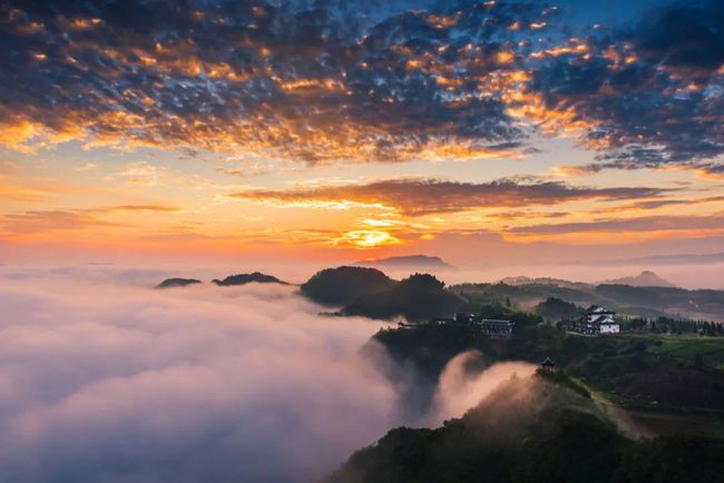 富硒茶的市场经济