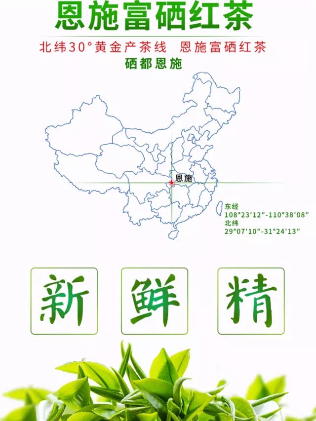 富硒茶含有蛋白质