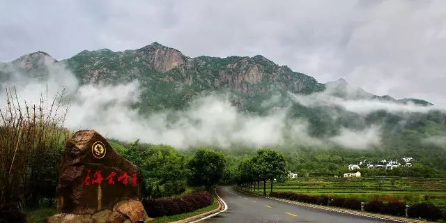 池州仙寓山富硒茶