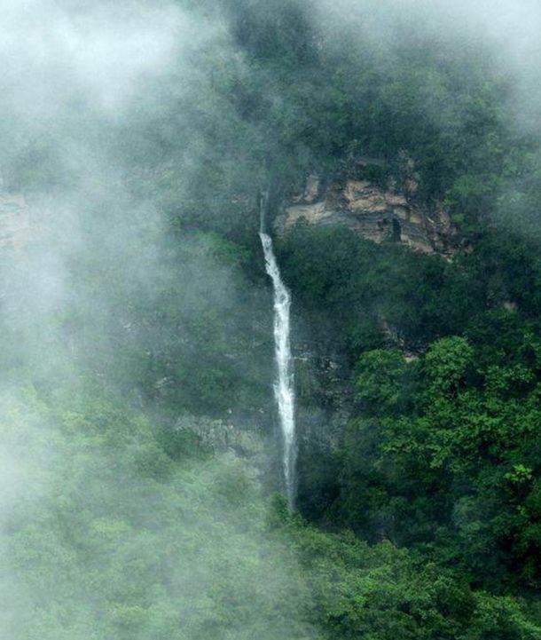 池州仙寓山富硒茶