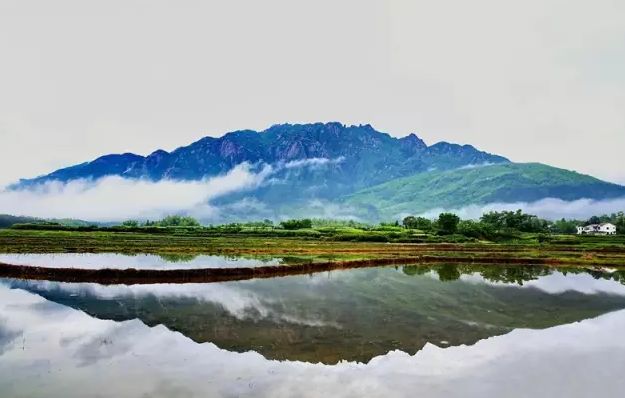 池州仙寓山富硒茶