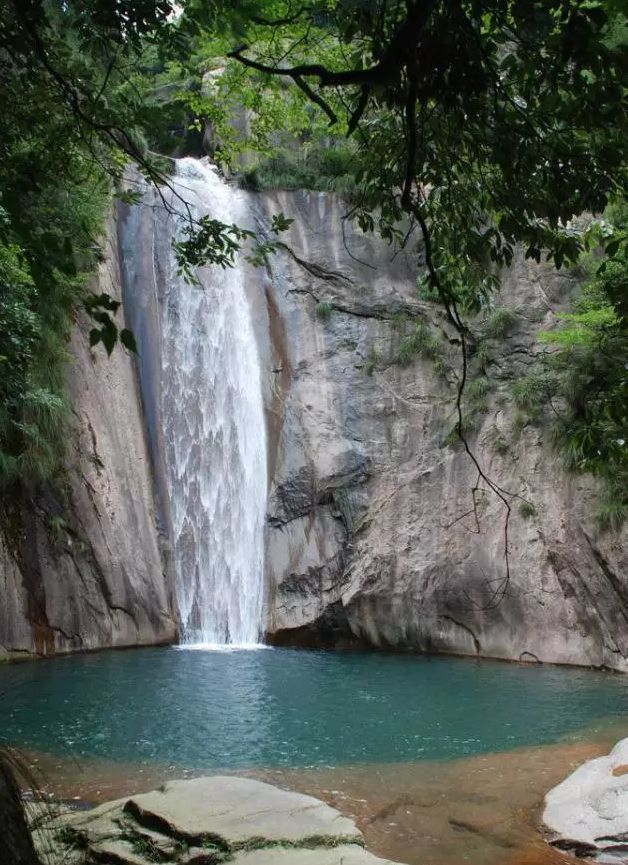 池州仙寓山富硒茶