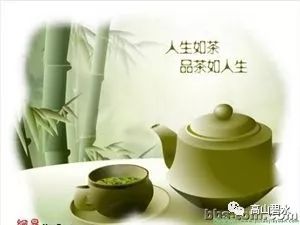 富硒白茶饼茶泡法