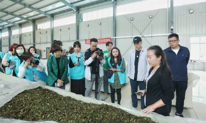 岚皋莲花路富硒茶