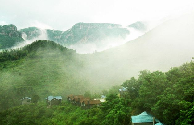 池州仙寓山富硒茶