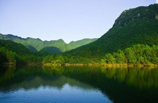 池州仙寓山富硒茶