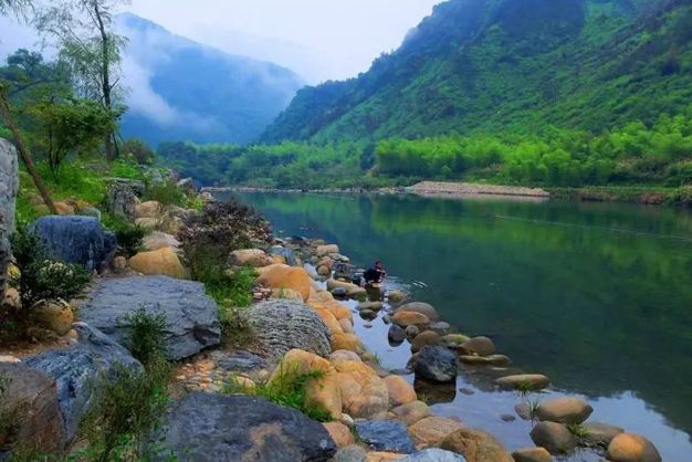 池州仙寓山富硒茶