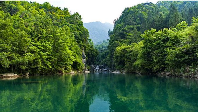 池州仙寓山富硒茶