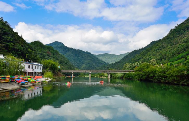 池州仙寓山富硒茶