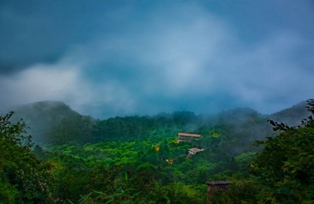 池州仙寓山富硒茶