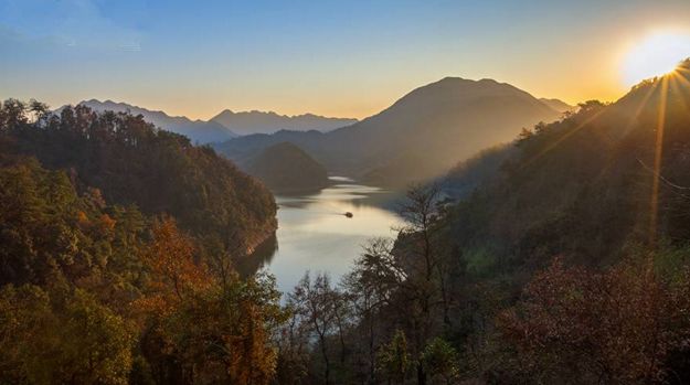 池州仙寓山富硒茶