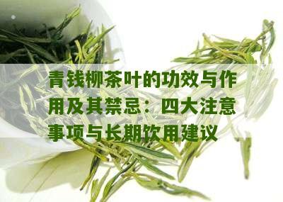 青钱柳茶叶的功效与作用及其禁忌：四大注意事项与长期饮用建议