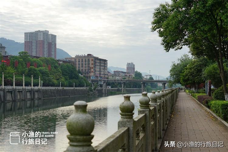 陕西富硒茶好不好