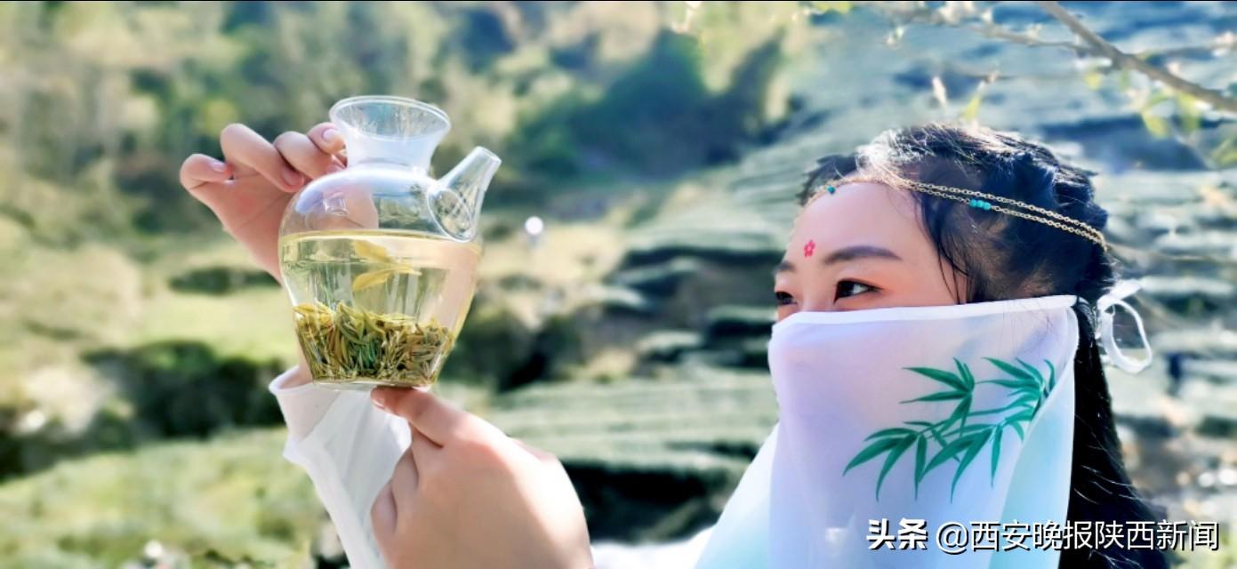 淘宝网陕南富硒茶