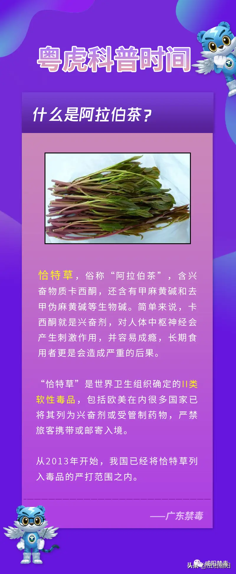 为什么有富硒茶卖