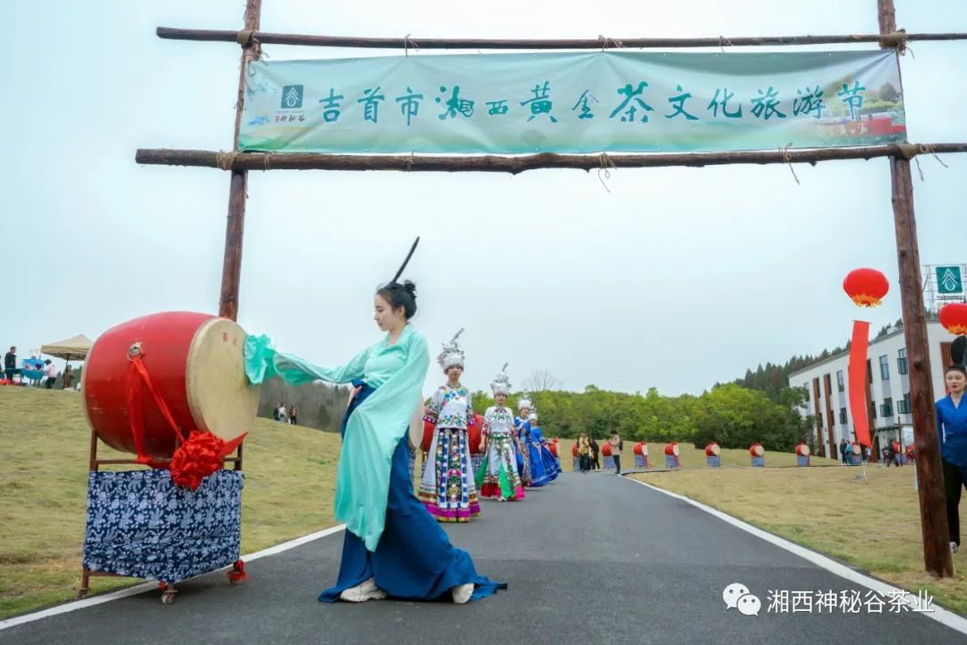 黄金芽和富硒野茶