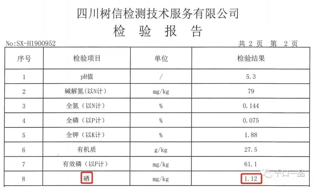 黄金芽和富硒野茶