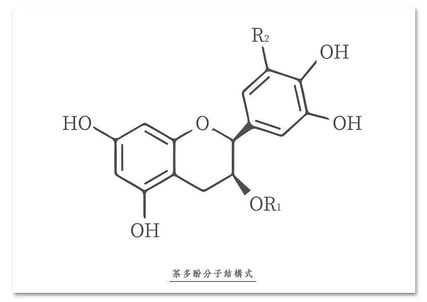 糖尿病人喝富硒茶