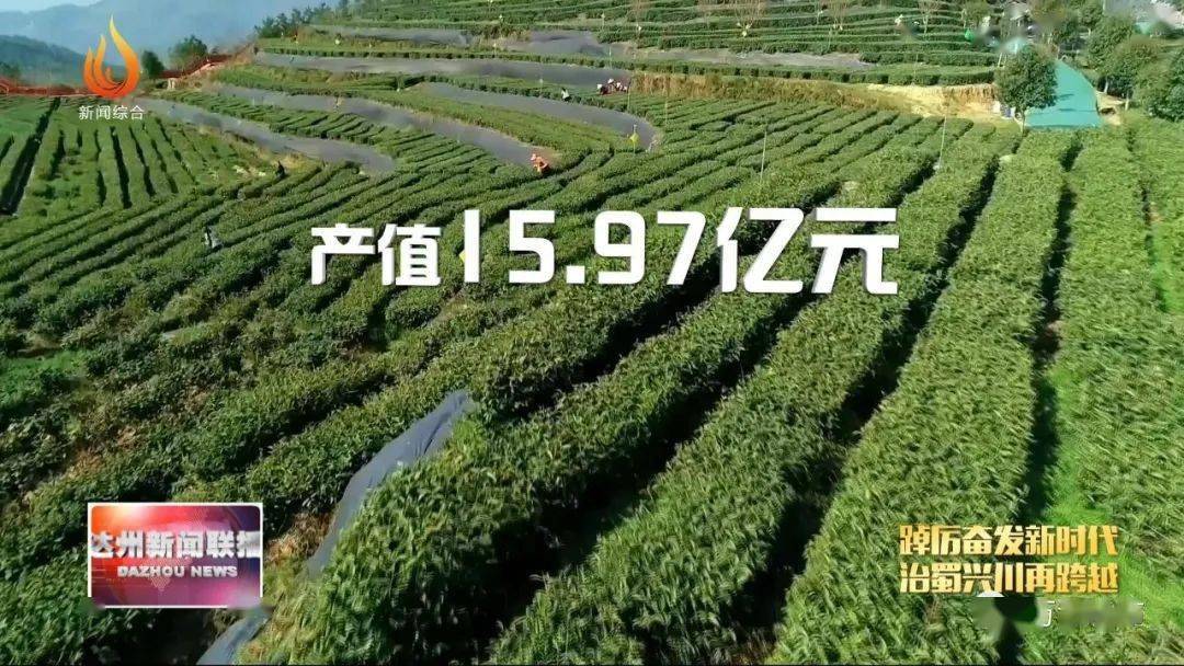 万源富硒茶的好处