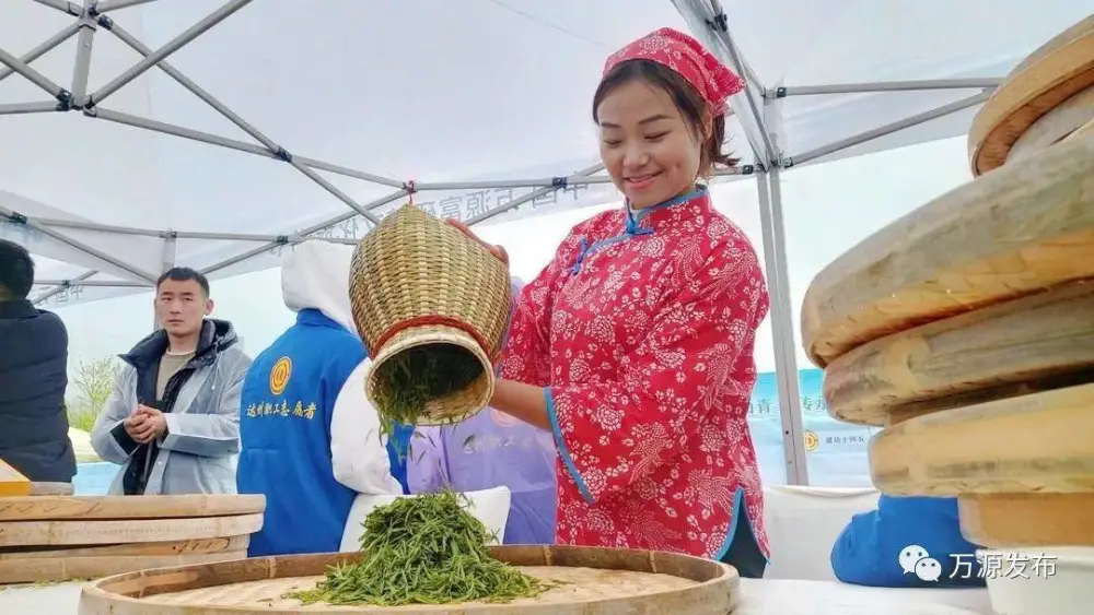 达州的万源富硒茶