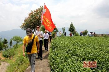 富硒八仙茶供应商