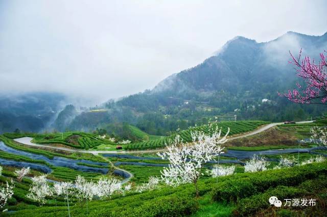 万源石塘富硒茶廊