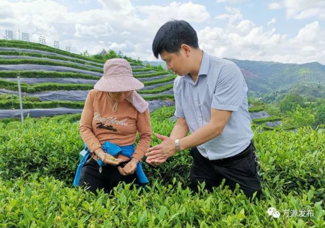 万源石塘富硒茶廊