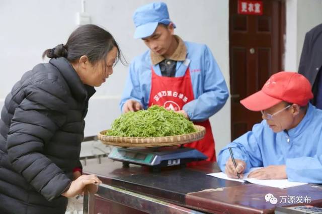 万源石塘富硒茶廊