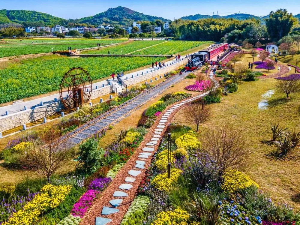 建湖农场富硒大米