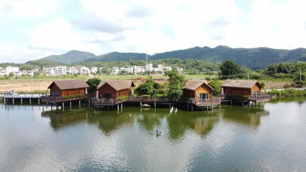 建湖农场富硒大米