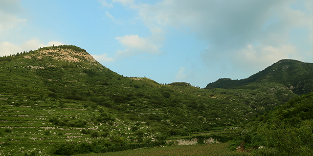 河北富硒月子米哪里好,月子米