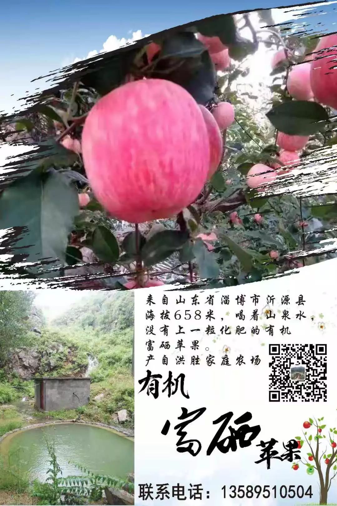 山东莒县富硒大米