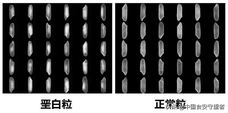 如何选择富硒大米