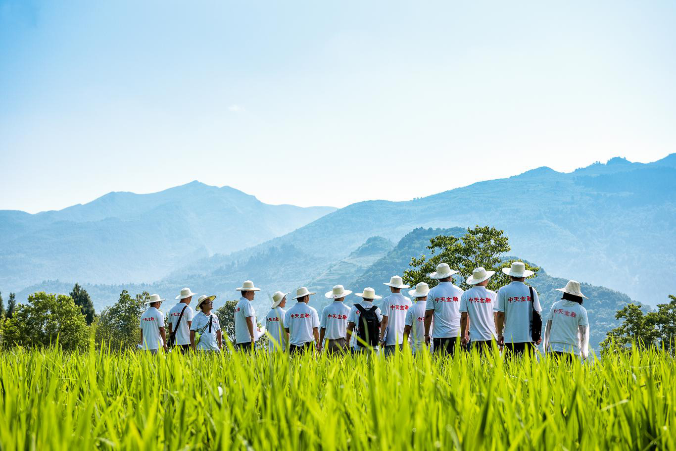 湖南龙凤富硒大米