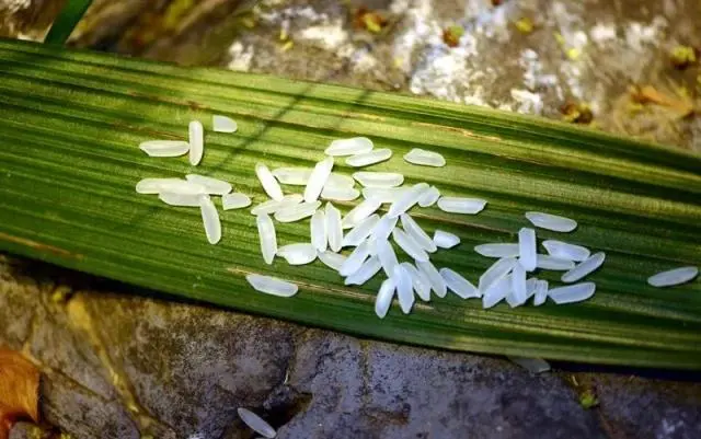 富硒的大米 吉林