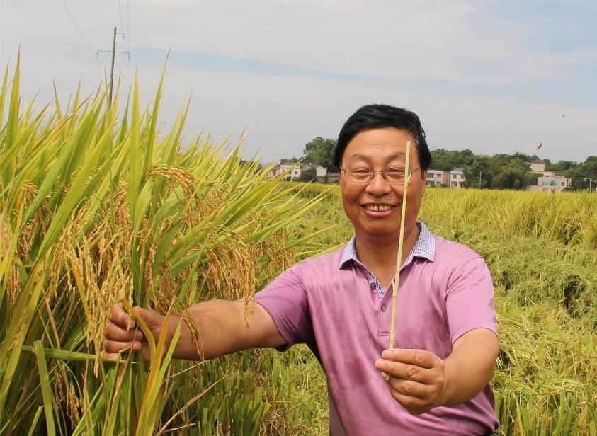 中国粮食富硒大米