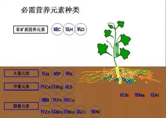 开阳富硒大米批发