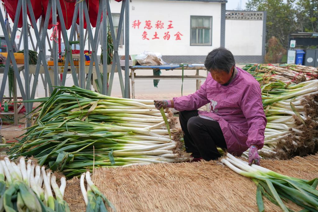 济南富硒大米价格