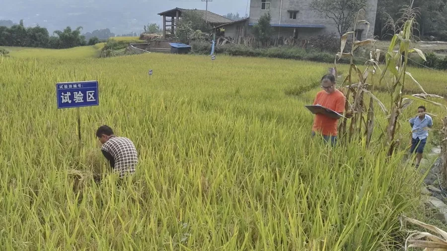 好消息！四川地矿助力四川首个天然富硒地获得“身份证”