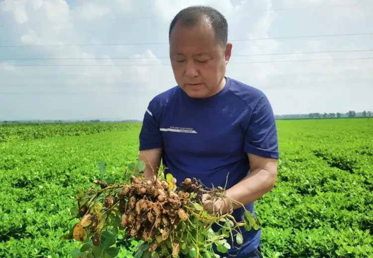 宁阳富硒大米团购