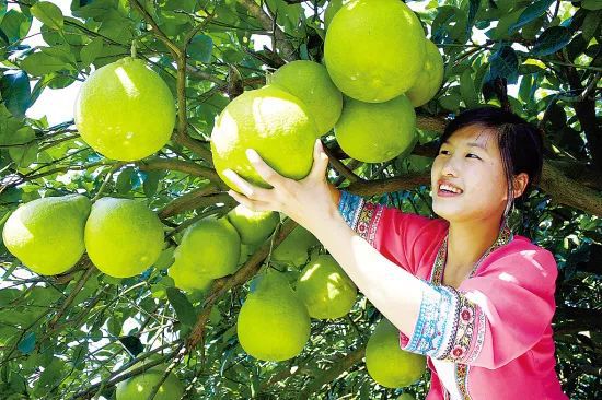 柳州富硒大米厂家