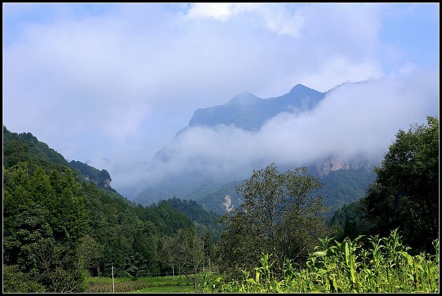 陕西南郑富硒大米