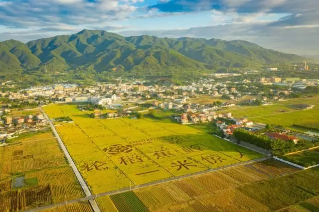 富硒大米市场情况