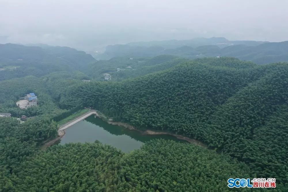 僰王山 富硒大米