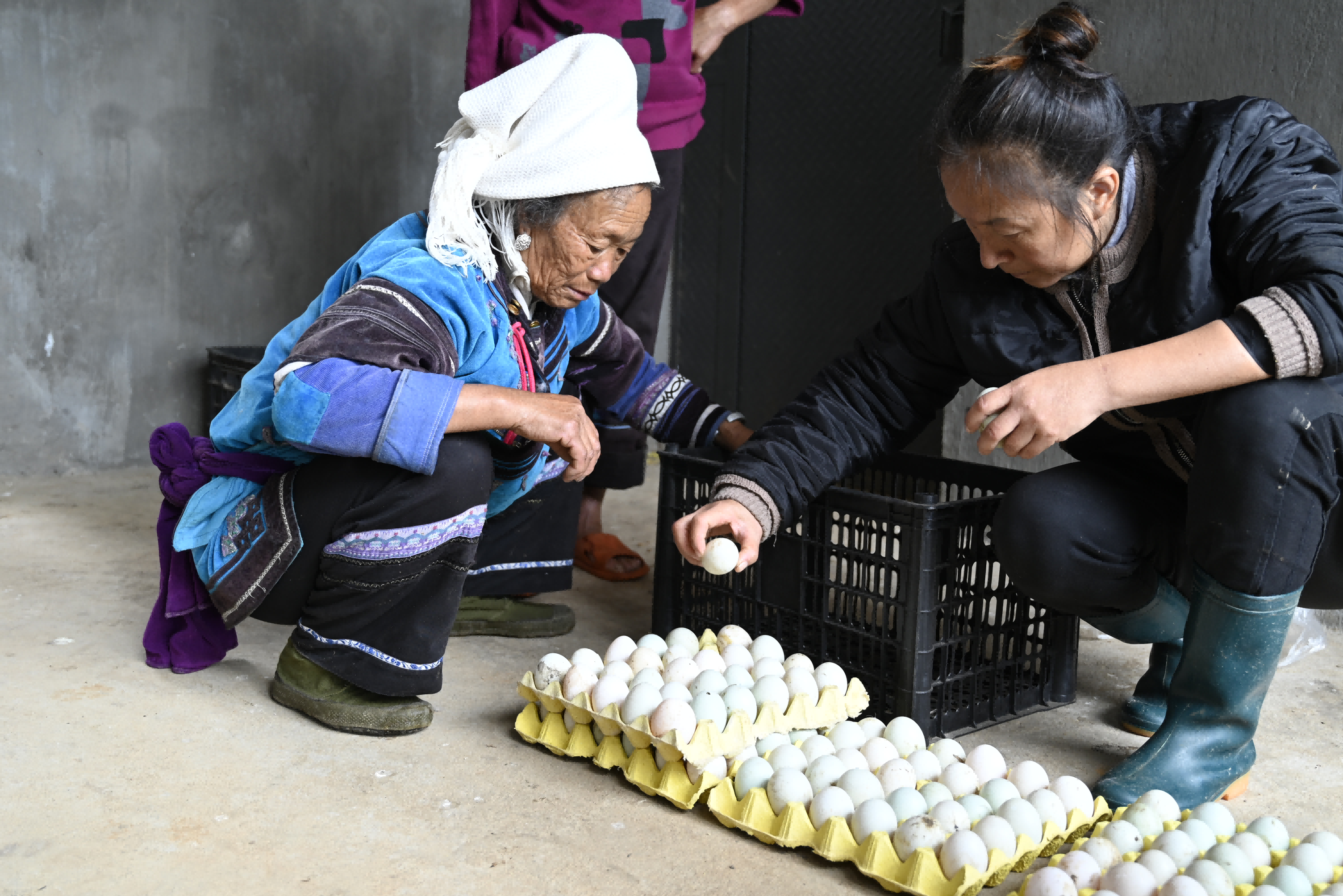 宏胜富硒大米产地