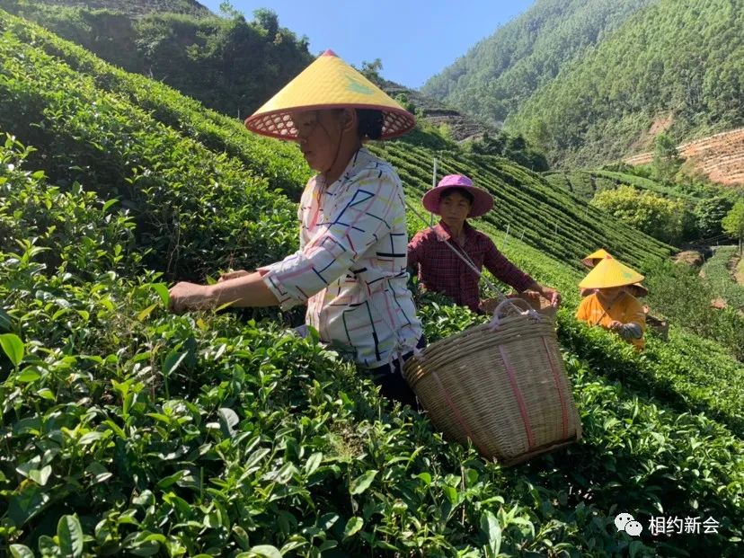 大米富硒后的好处