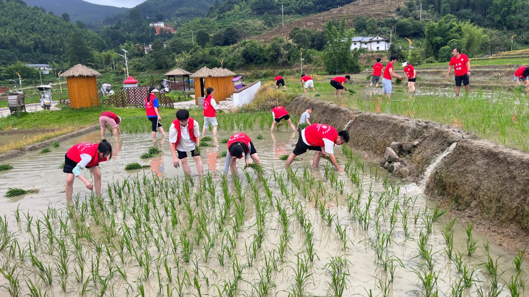 上堡梯田富硒大米