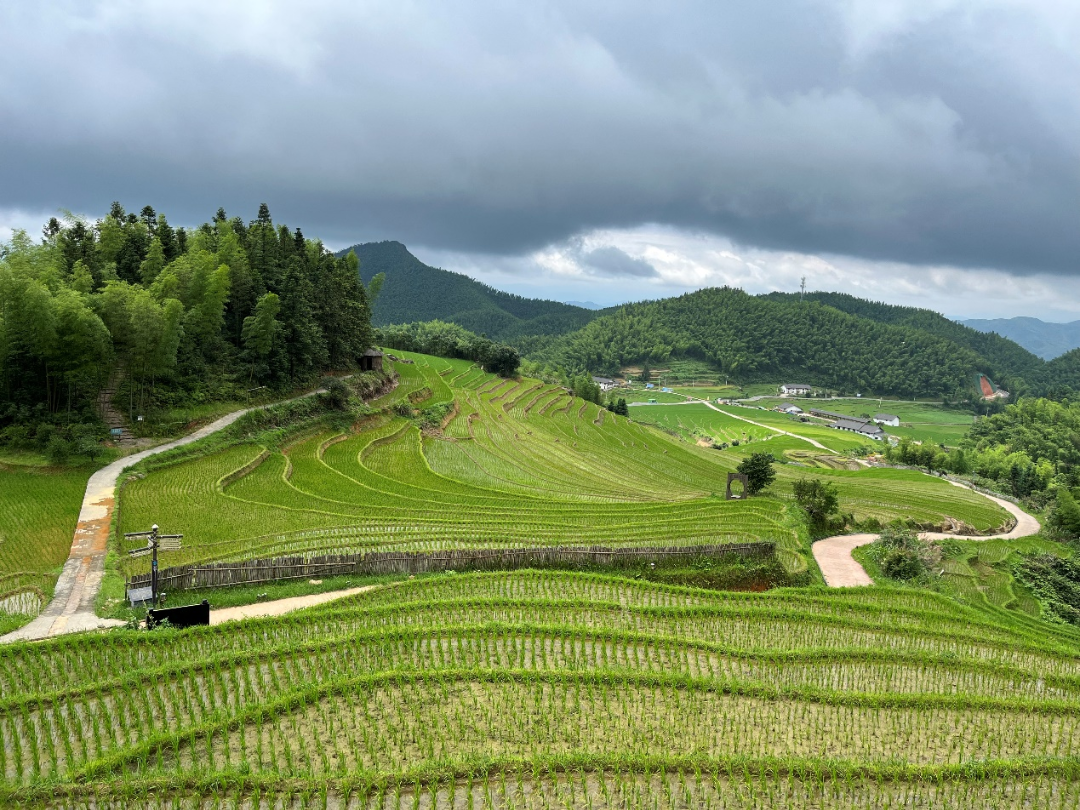 上堡梯田富硒大米