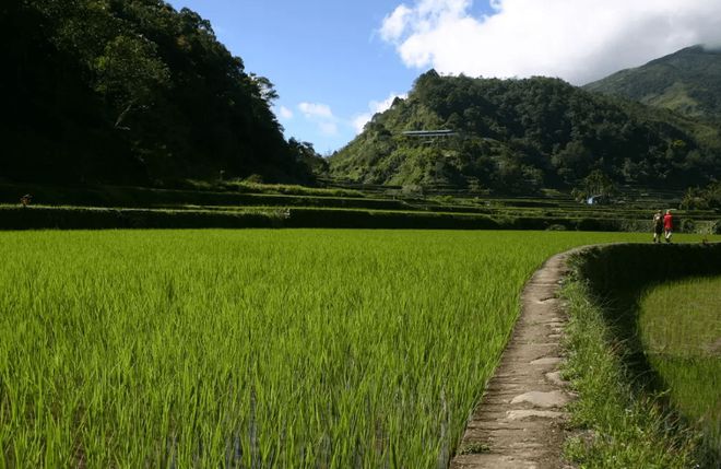 富硒大米和食用油