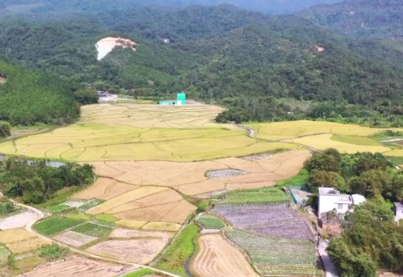 浦塘富硒大米价格